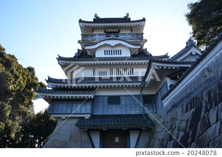 Oyama castle Tenshi 20248078