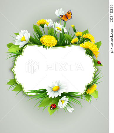 Fresh spring background with grass, dandelions and Fresh spring background with grass, dandelions and 20248336
