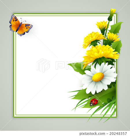 Fresh spring background with grass, dandelions and Fresh spring background with grass, dandelions and 20248357