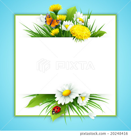 Fresh spring background with grass, dandelions and Fresh spring background with grass, dandelions and 20248416