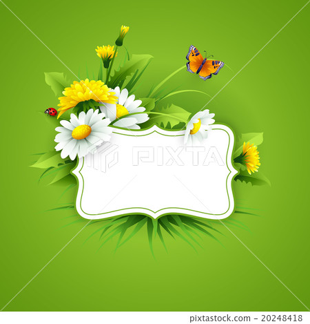Fresh spring background with grass, dandelions and Fresh spring background with grass, dandelions and 20248418