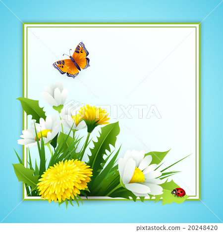 Fresh spring background with grass, dandelions and Fresh spring background with grass, dandelions and 20248420