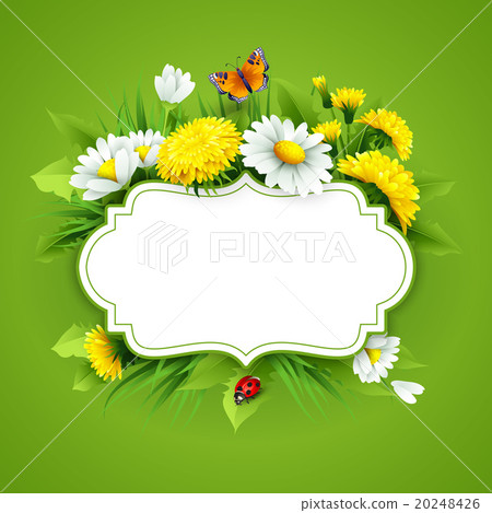 Fresh spring background with grass, dandelions and Fresh spring background with grass, dandelions and 20248426