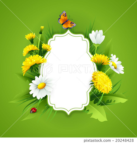 Fresh spring background with grass, dandelions and Fresh spring background with grass, dandelions and 20248428