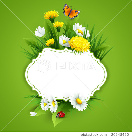 Fresh spring background with grass, dandelions and Fresh spring background with grass, dandelions and 20248430