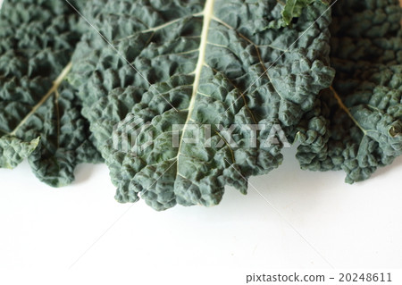 Kale Kale 20248611
