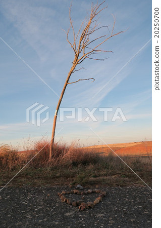 Wilderness and Heart Wilderness and Heart 20250700