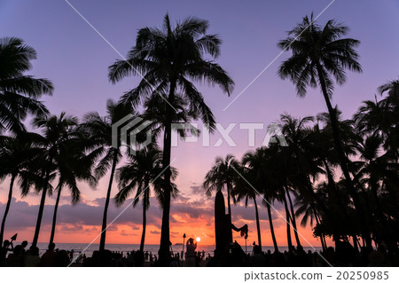 [Hawaii] Honolulu Waikiki Beach Evening View 20250985