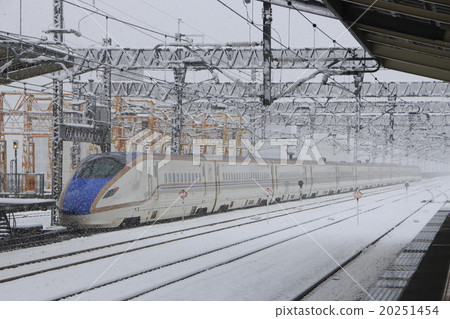 下雪天上越/北陸新幹線E7系列 20251454