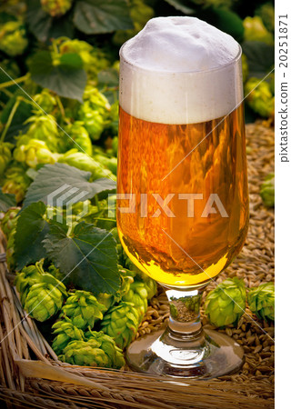 glass of beer 20251871