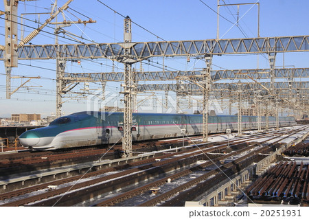 E5 Series Shinkansen Hayabusa (Single) E5 Series Shinkansen Hayabusa (Single) 20251931