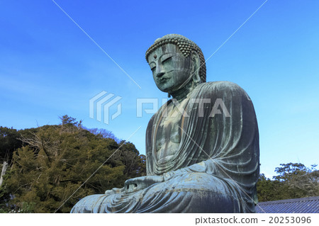 Great Buddha in winter fine 20253096