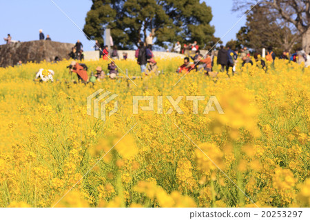 Agatsumayama公園的早春 20253297