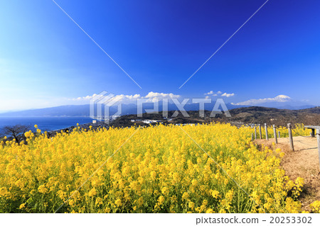 Agatsumayama公園的早春 Agatsumayama公園的早春 20253302