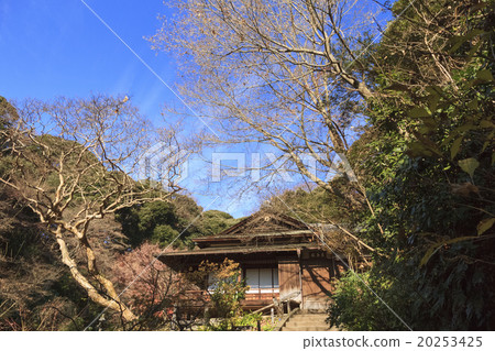 Winter in Sanpi Garden Winter in Sanpi Garden 20253425