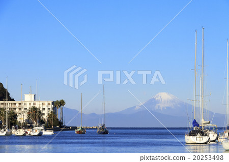 Winter in Miyoshi Bay 20253498