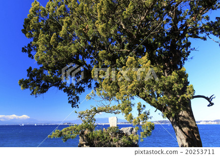 Winter fine Morito Shrine 20253711