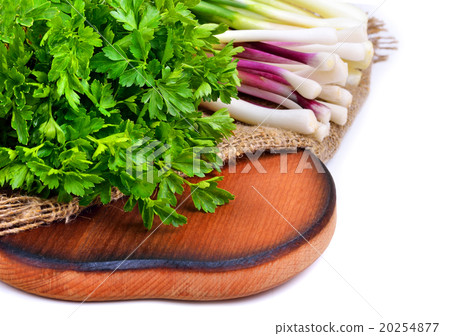 Parsley, green onion, garlic, rocket salad 20254877
