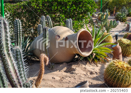 Element of landscape design clay jug and cactuses 20255403