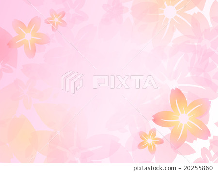櫻花盛開 20255860