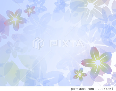 櫻花盛開 20255861