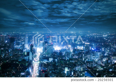 Night view of Tokyo 20256501