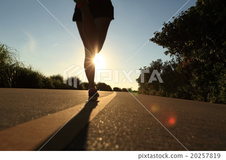 young fitness woman legs running on sunrise seaside trail 20257819