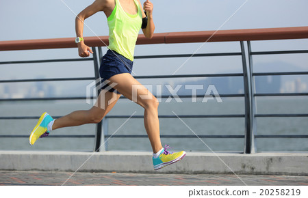young fitness woman runner running at seaside young fitness woman runner running at seaside 20258219