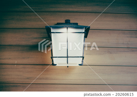 Light lamp 20260615