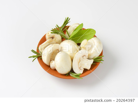 Fresh button mushrooms and culinary herbs Fresh button mushrooms and culinary herbs 20264397