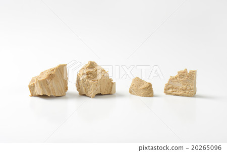 Baker's yeast Baker's yeast 20265096