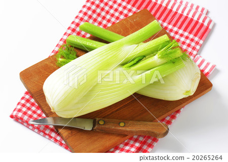 fresh fennel bulbs 20265264