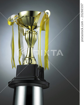 trophy 20266597