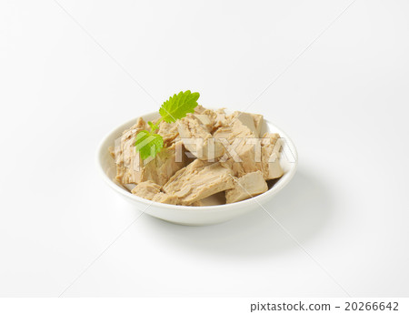 Baker's yeast Baker's yeast 20266642