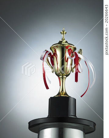 trophy 20266643