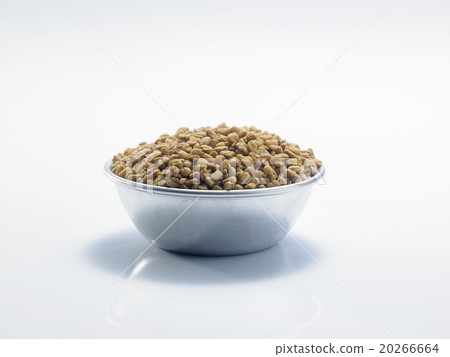 fenugreek 20266664