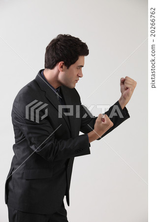 fighting stance 20266762