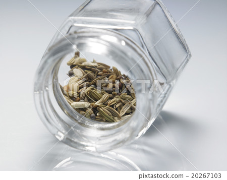 panch phoron panch phoron 20267103