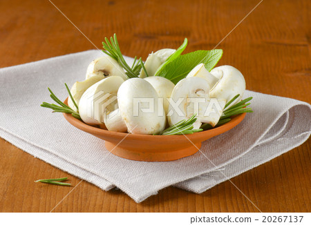 Fresh button mushrooms and culinary herbs 20267137