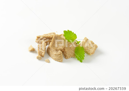 Baker's yeast Baker's yeast 20267339