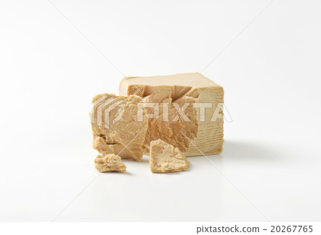 Baker's yeast Baker's yeast 20267765