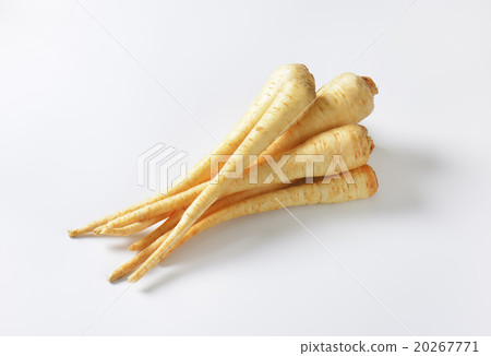 root parsley root parsley 20267771