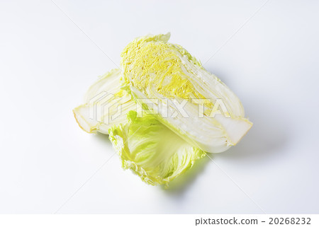 Chinese cabbage Chinese cabbage 20268232