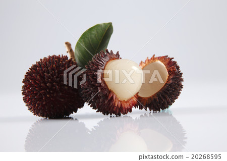 Pulasan or kapulasan fruit Pulasan or kapulasan fruit 20268595