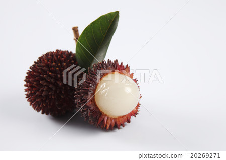Pulasan or kapulasan fruit Pulasan or kapulasan fruit 20269271