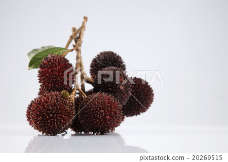 Pulasan or kapulasan fruit Pulasan or kapulasan fruit 20269515