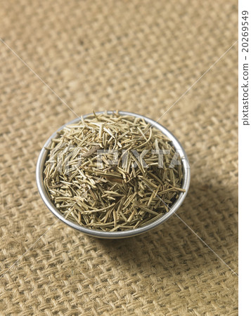 rosemary rosemary 20269549
