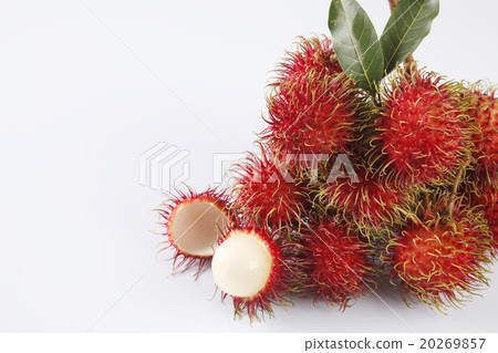 rambutan rambutan 20269857
