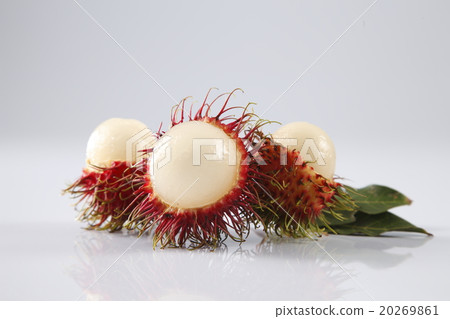 rambutan rambutan 20269861