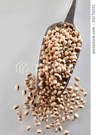 Dried black-eyed beans 20270292